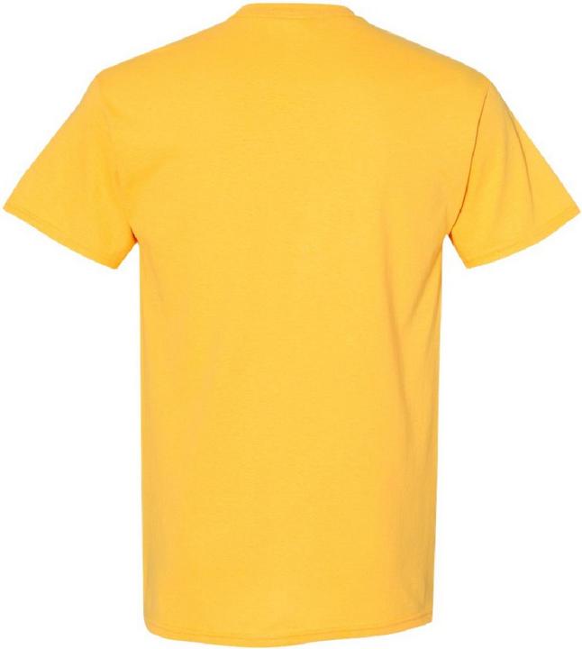 Actual product image Gildan Tshirt (S)