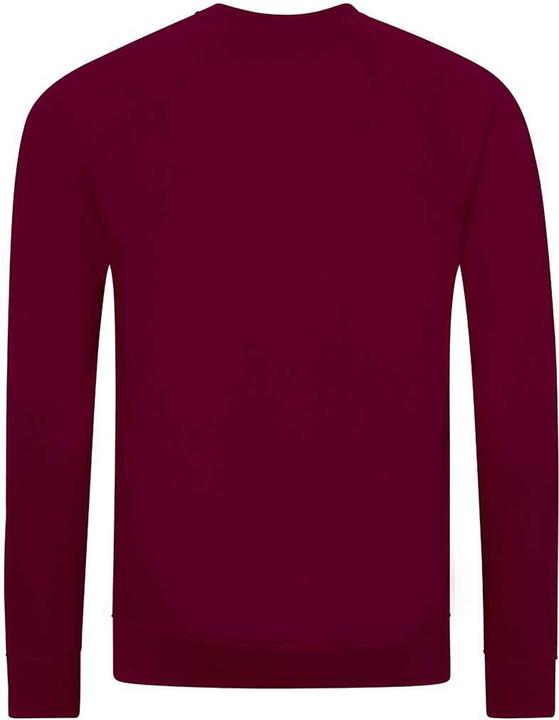 Immagine prodotto Awdis Academy Felpa Raglan Bambini (XXL)