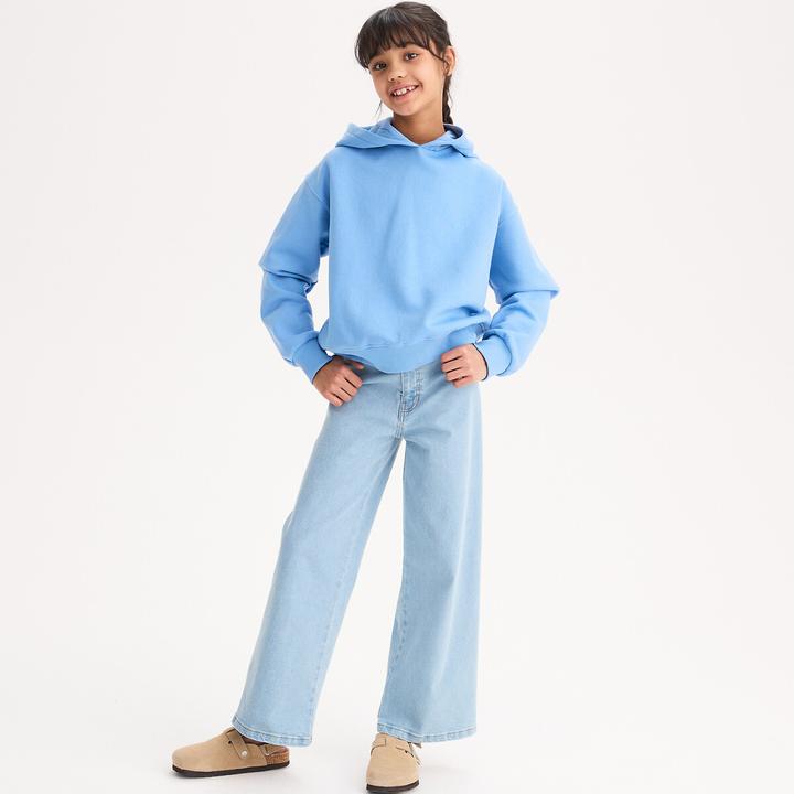 Produktbild La Redoute Collections Kapuzensweatshirt (116)