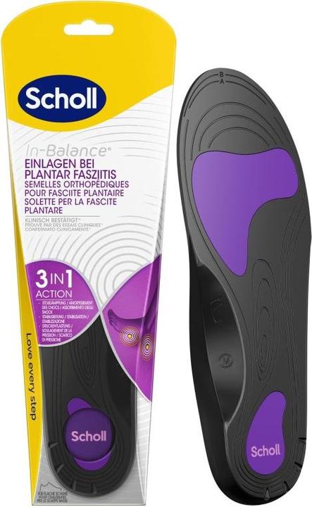 Scholl In equilibrio