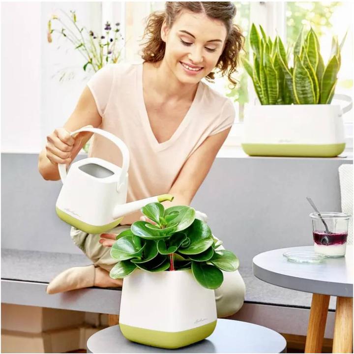 Produktbild Lechuza Yula (1.70 l)