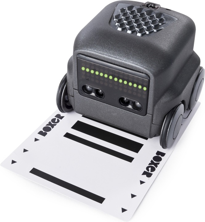 Produktbild Spin Master Boxer Robo