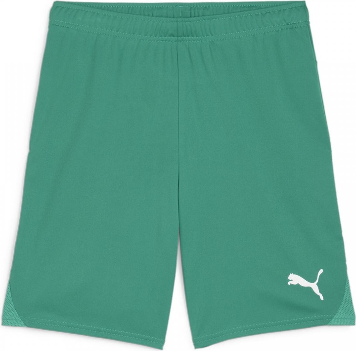 Actual product image Puma teamGOAL shorts (L)