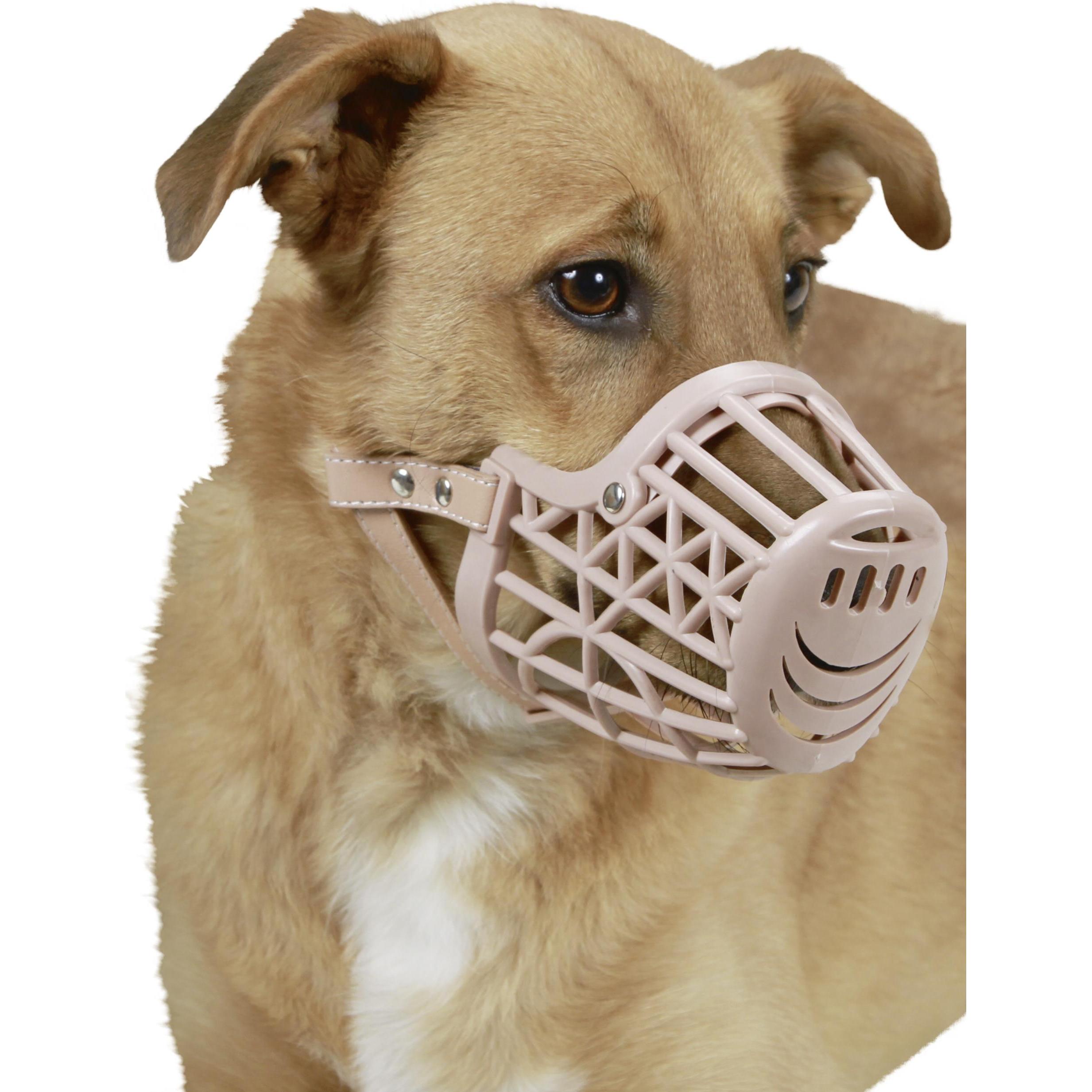Kerbl Maulkorb (4, Hund, Hundesport), Halsband + Leine
