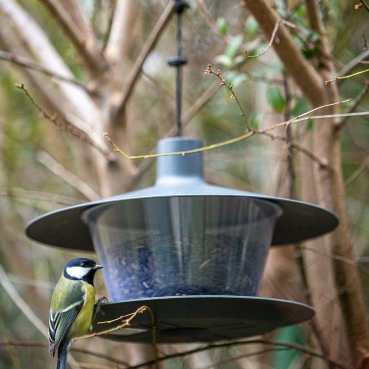 Actual product image Siena Garden Birdhouses