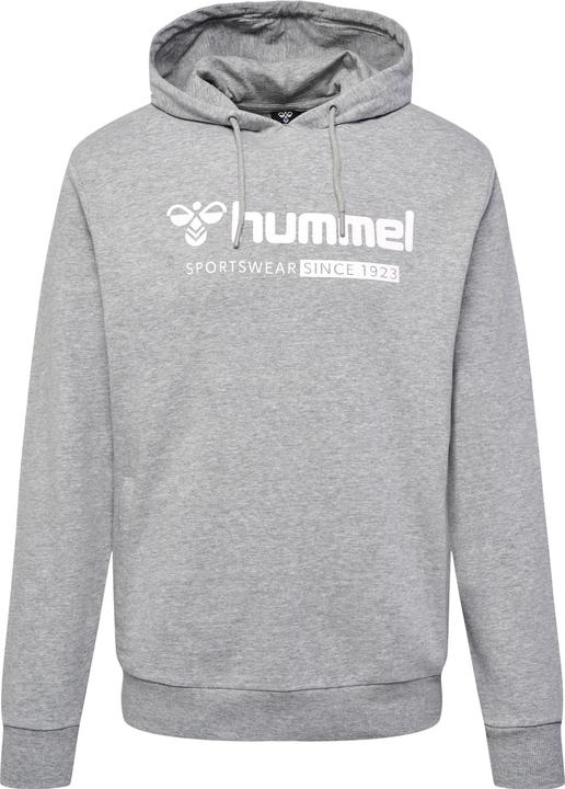 Produktbild hummel Hmlfav Big Logo Sweathoodie (L)