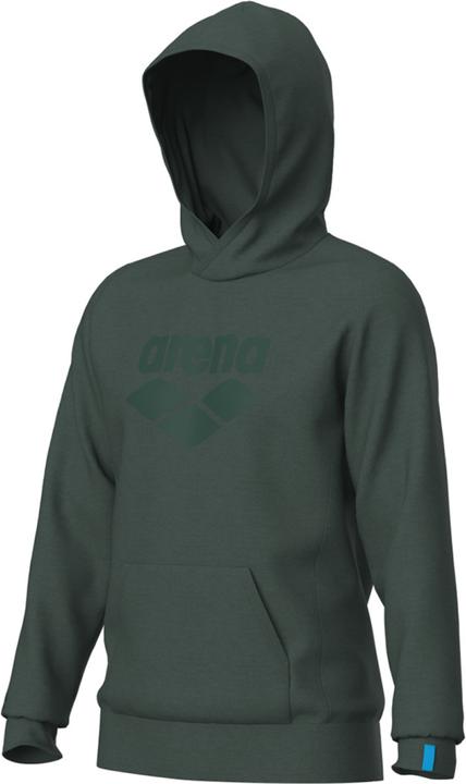 Image du produit Arena Hooded Sweat Logo (XXL)