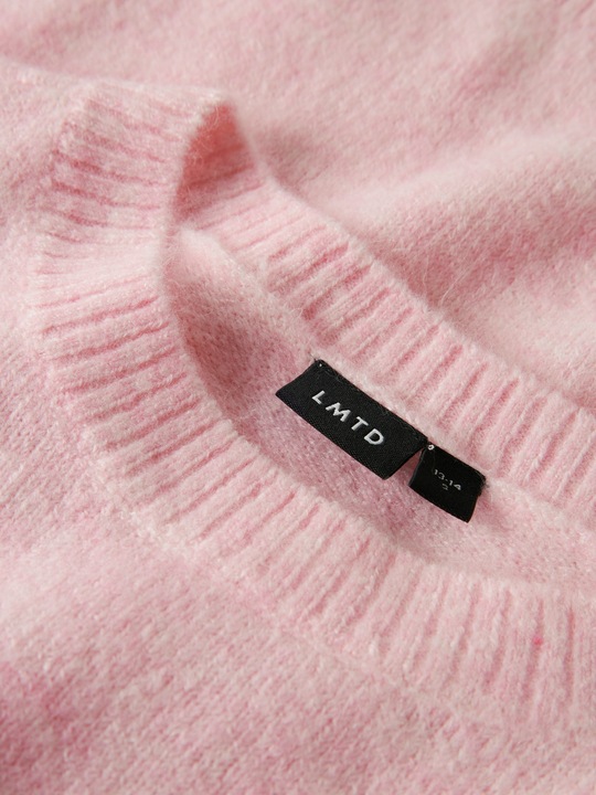Produktbild Lmtd Regular Fit Strickpullover (170)