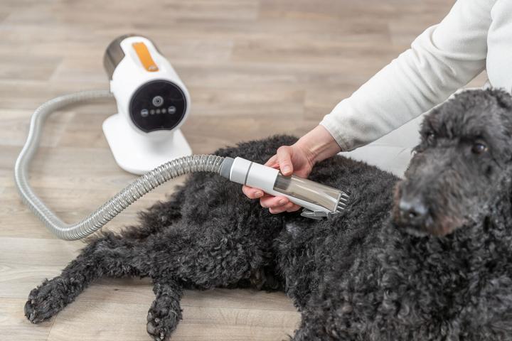 Immagine prodotto Trixie Set di tosatrici con aspirapolvere per pellicce (Cane)