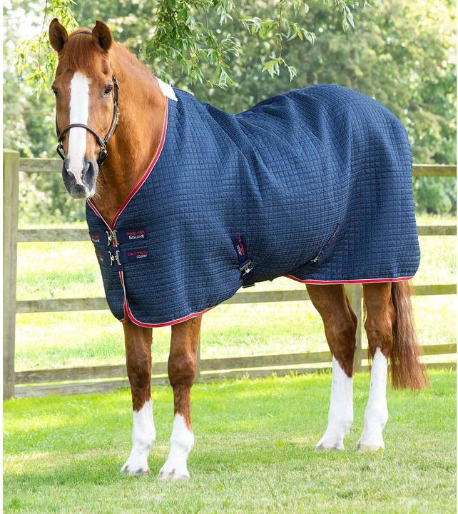 Immagine prodotto Premier Equine Walker 0 g (175 cm)