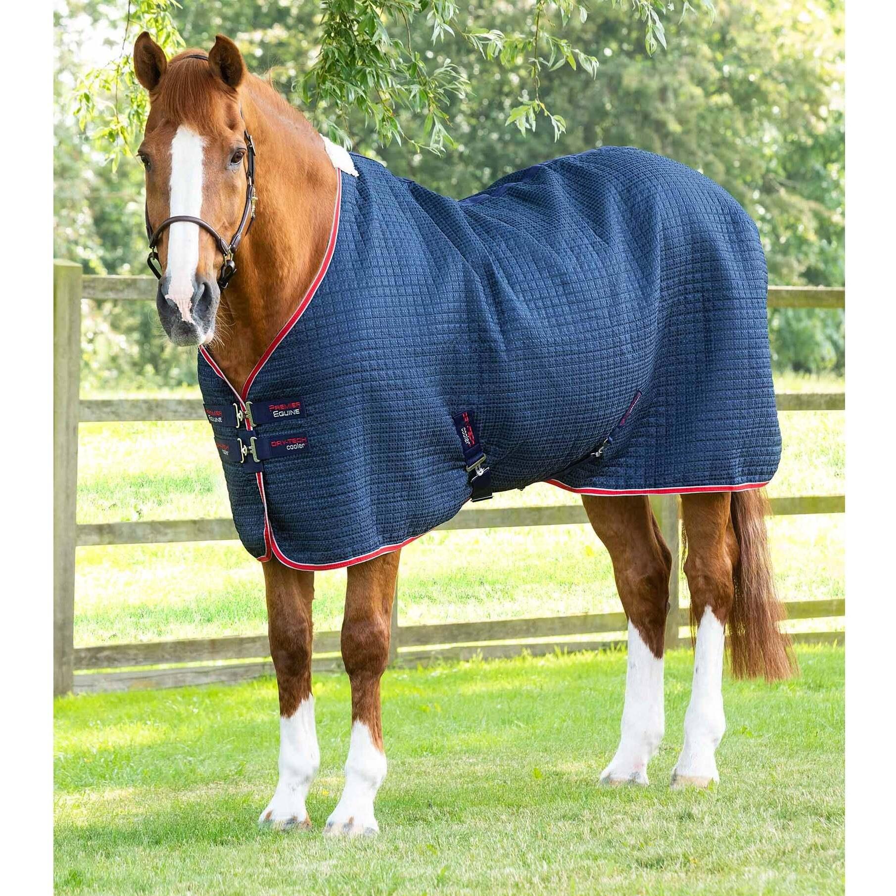 Premier Equine, Pferdedecke, (191 cm)