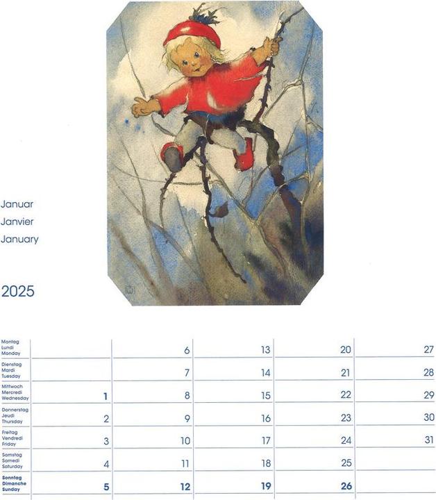 Immagine prodotto Cosa Calendario fotografico Mili Weber