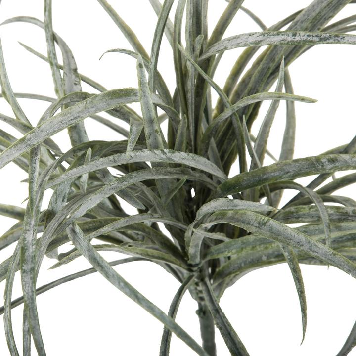 Immagine prodotto DPI Giardino (35 cm)