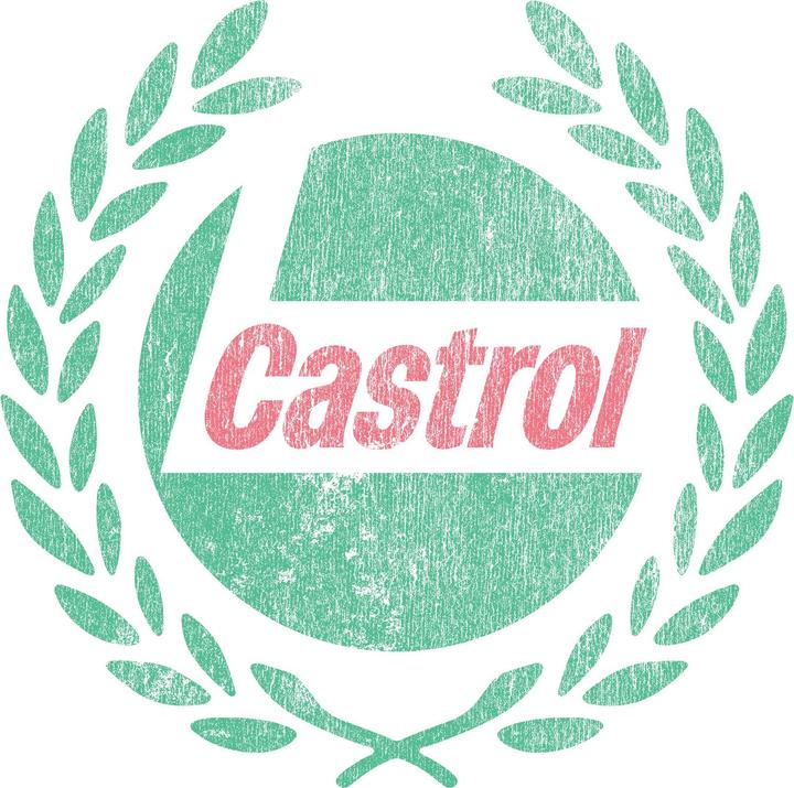 Immagine prodotto Castrol Maglietta Corona di Fiori Adulto Unisex (M)