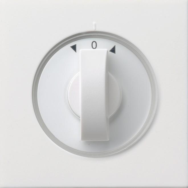 Gira, Programma di commutazione degli accessori, Copri interruttore cieco Interruttore a pannello Bianco puro 0666112