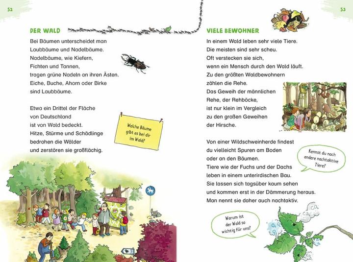 Produktbild Duden Leseprofi – Spannende Sachgeschichten für wissbegierige Erstleser, 2. Klasse (Deutsch, Christina Braun, 2021)