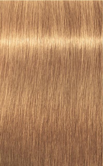 Produktbild Schwarzkopf Professional Igora Royal Absolutes Age Blend (9-50 Extra Hellblond Gold Natur)