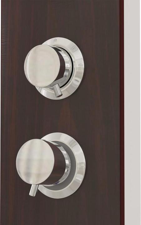 Image du produit vidaXL Duschpaneel