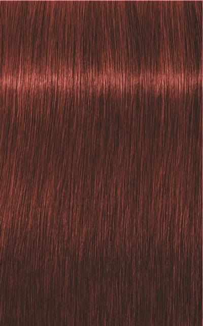 Image du produit Schwarzkopf Professional Igora Royal Absolue Age Blend (6-80 Blond foncé Rouge Naturel Rouge Naturel)