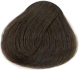 6.1 dunkelblond asch
