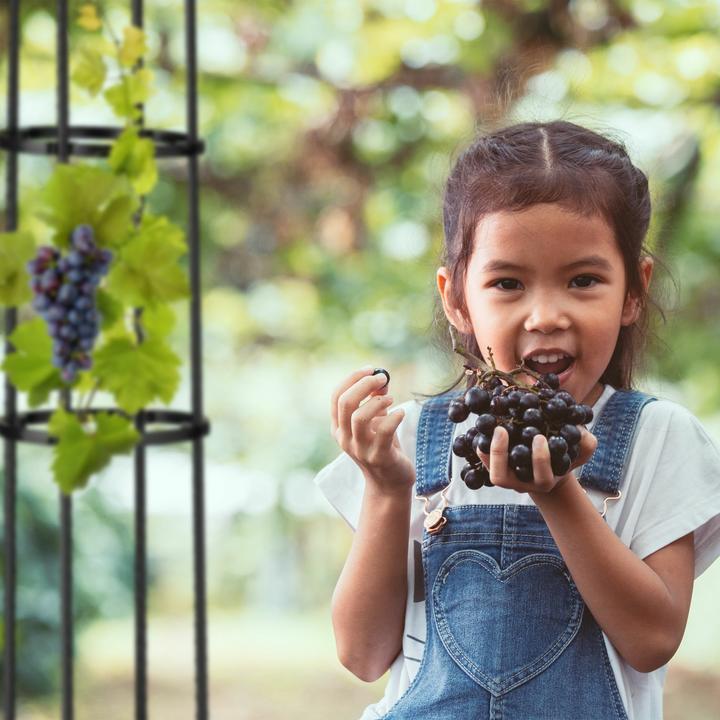Image du produit Relaxdays Table d’appoint