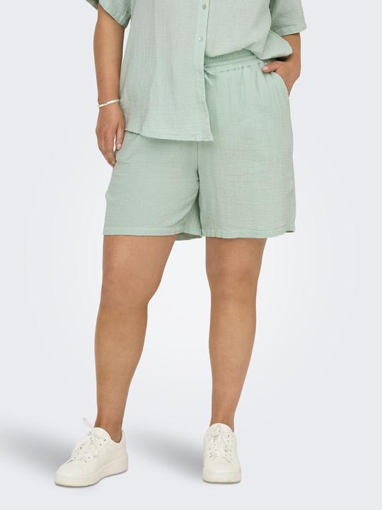 Produktbild Only CARTHYRA Hohe Taille Normal geschnitten Shorts Shorts (46)