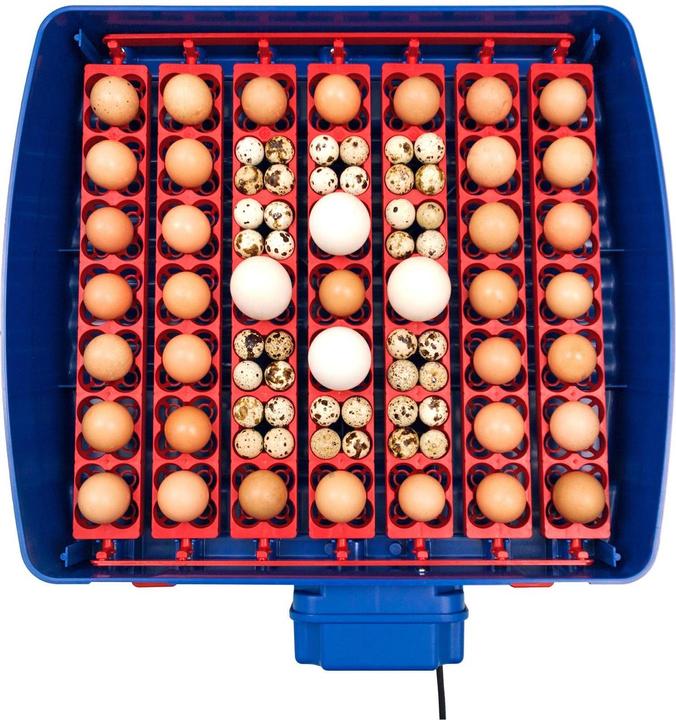 Produktbild APS Brutapparat 49 Eier Wasserspender vollautomatisch Brutmaschine Brutautomat