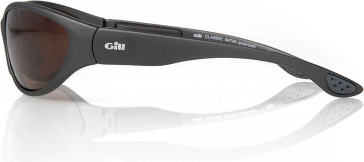 Actual product image Classic Sunglasses