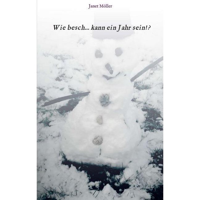 Wie besch...kann ein Jahr sein, Belletristik von Janet Möller