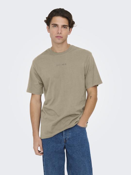 Produktbild Only & Sons Onslevi Life Reg Text Ss Tee Noos (M)