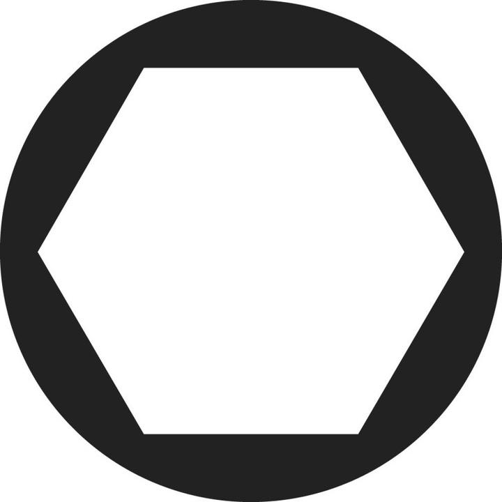 Actual product image Toolcraft Hexagon nuts M2 steel verz (M2)