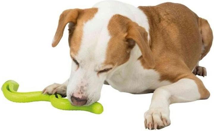 Actual product image Trixie Dog Toy Snack Snake, 27 cm, Green (Dog chew toy)
