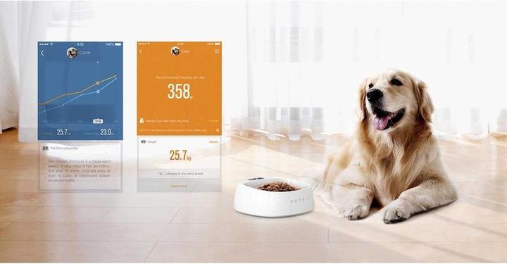 Produktbild Petkit P2 (Katze, Hund, Spazieren)