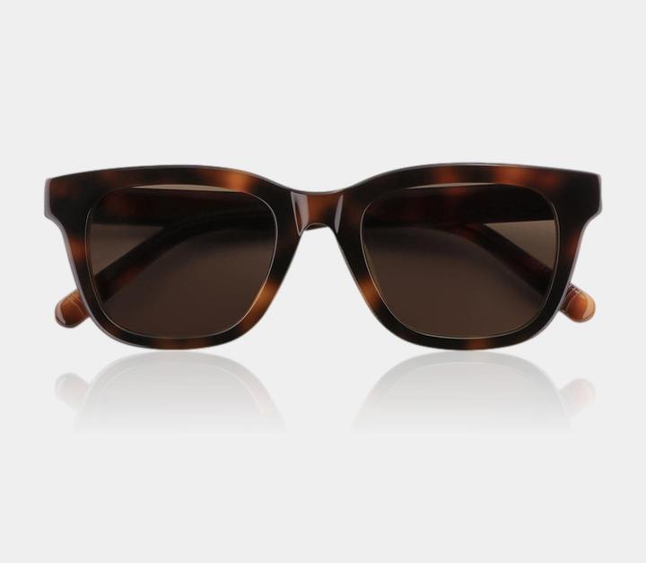 Actual product image James Dixon Havana/Braun – Everett – Eckig – Acetat – Sonnenbrille
