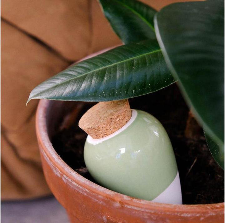 Image du produit Pepin Olla Selbstbewässerungssystem (Cône d'argile)