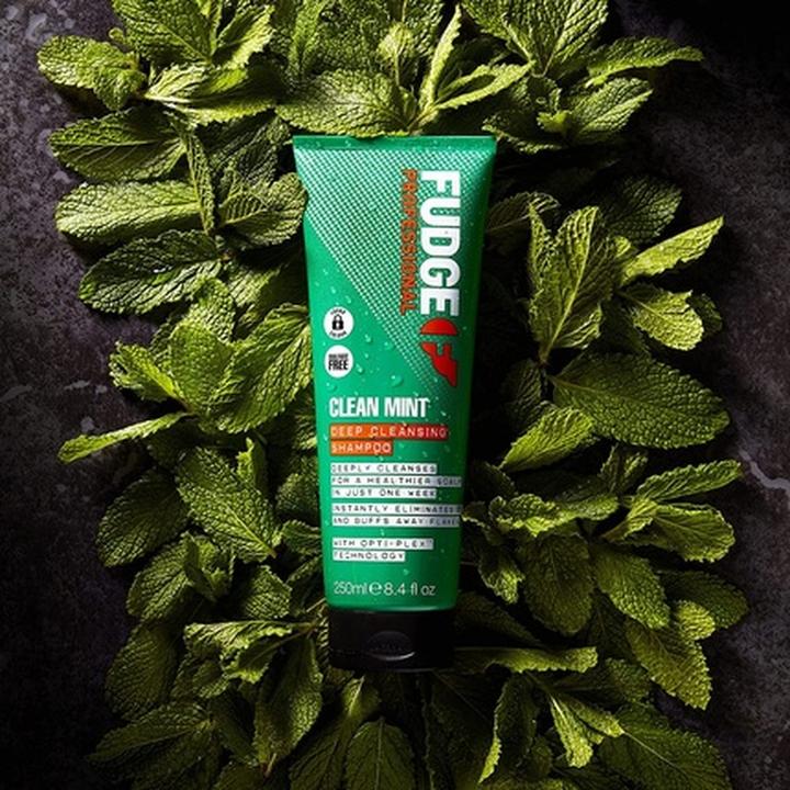 Produktbild Fudge FUDGE Clean Mint Deep Cleanising Shampoo deep cleansing shampoo 250ml (250 ml, Flüssiges Shampoo)