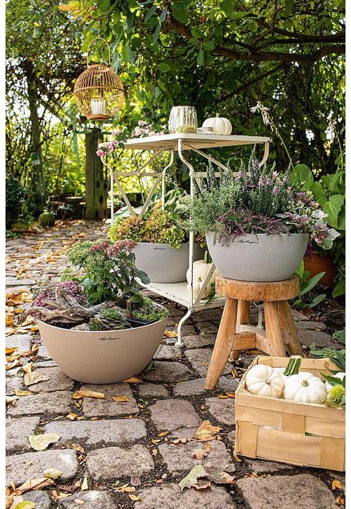 Actual product image Lechuza Cubeto Color (30 cm)