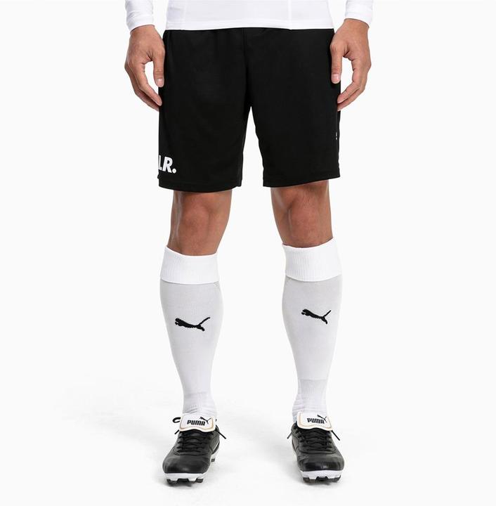 Actual product image Puma Team LIGA Socks-703438 (47, 49)