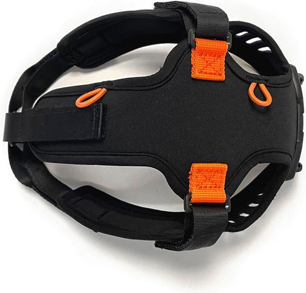 Actual product image Silva Ignite