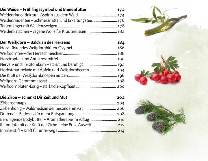 Produktbild Aromatischer Wald (Deutsch, Doris Kern, 2020)