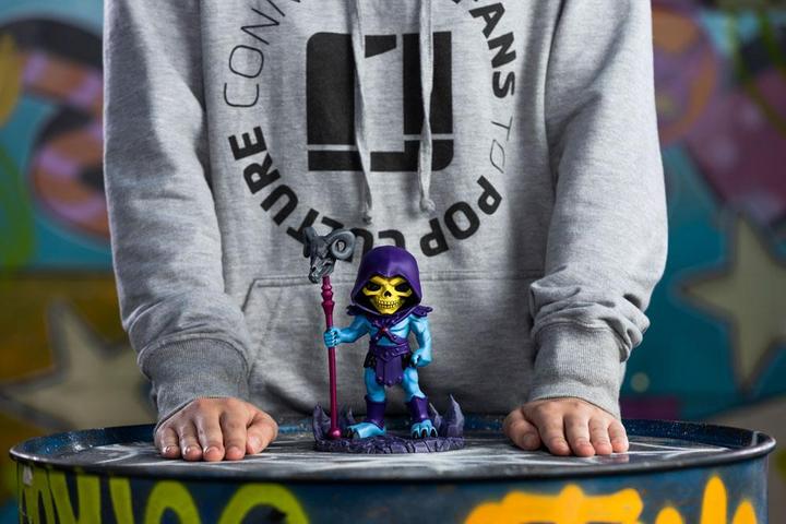 Actual product image Iron Studios MOTU Masters of the Universe Skeletor Mini Co 18cm