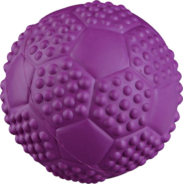 Trixie Sportball mit Quietscher D=5.5cm (Ballspielzeug Hund)