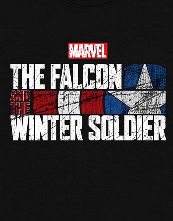 Immagine prodotto Maglietta unisex da adulto Falcon & Winter Soldier Text Cotton Logo (M)