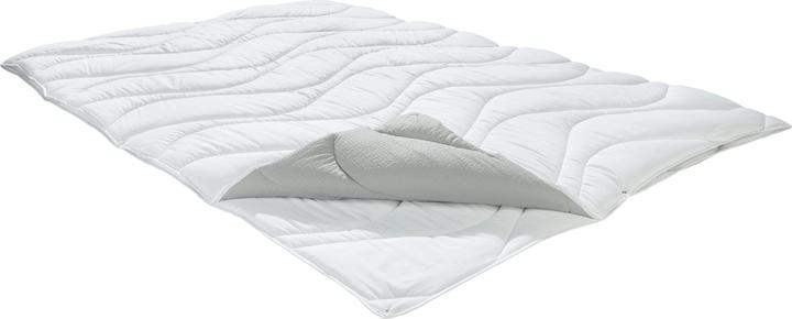 Actual product image Erwin Müller Amper (1000 g, 155 x 220 cm)