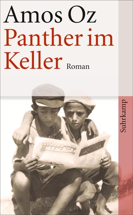 Produktbild Panther im Keller (Deutsch, Amos Oz, 2012)