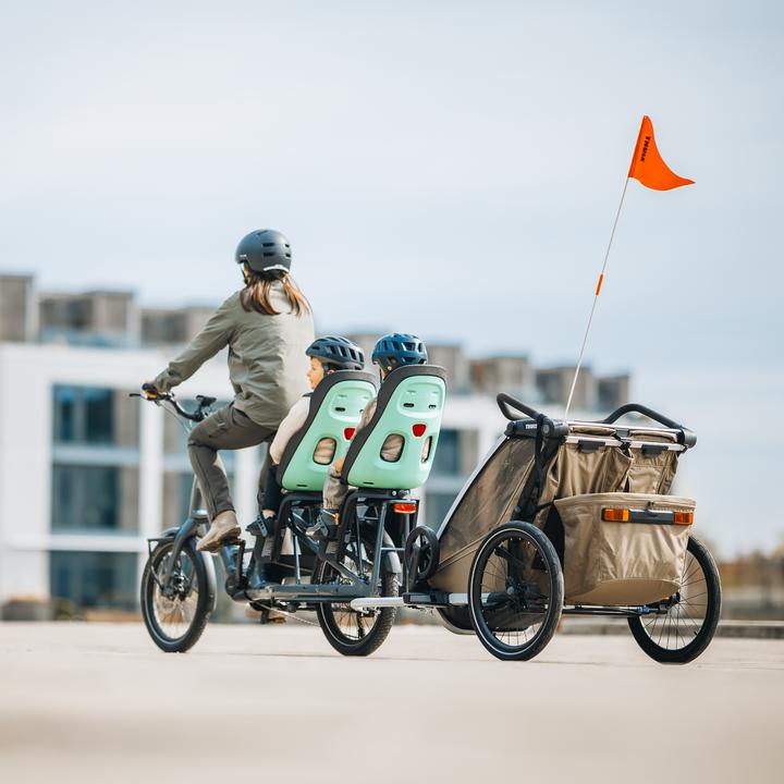 Immagine prodotto Thule Seggiolino per bambini Yepp Nexxt 2 Maxi (GT) (Portapacchi)