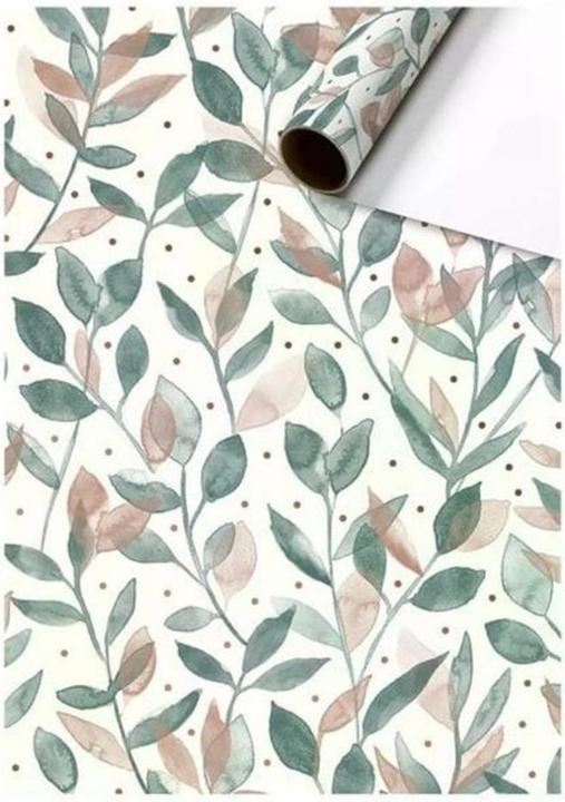 Stewo Papier cadeau Everyday rouleau (Papier cadeau, 1 x)