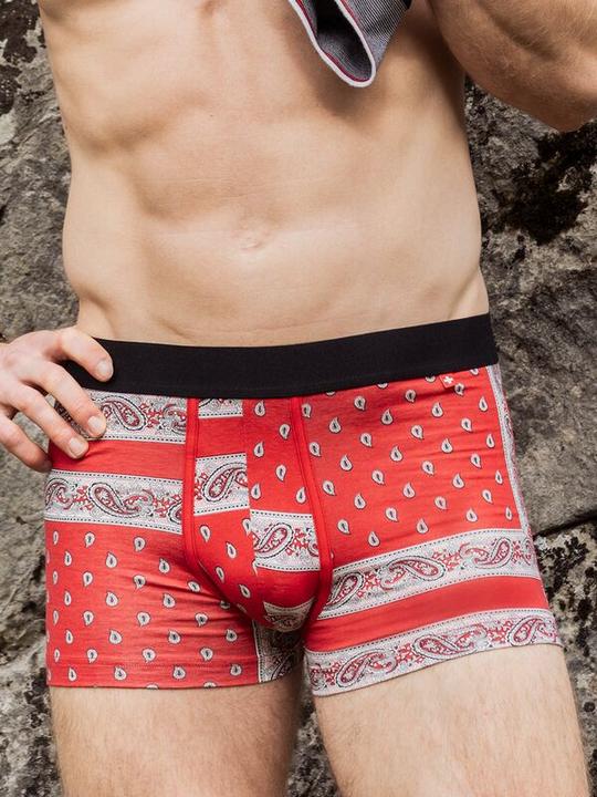 Produktbild ISA Bodywear Schwingerkollektion Pant (L)