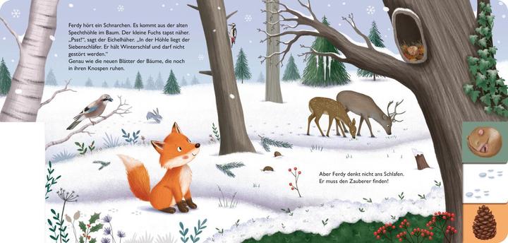 Actual product image My First Book of the Seasons: Ferdy the Little Fox (German)