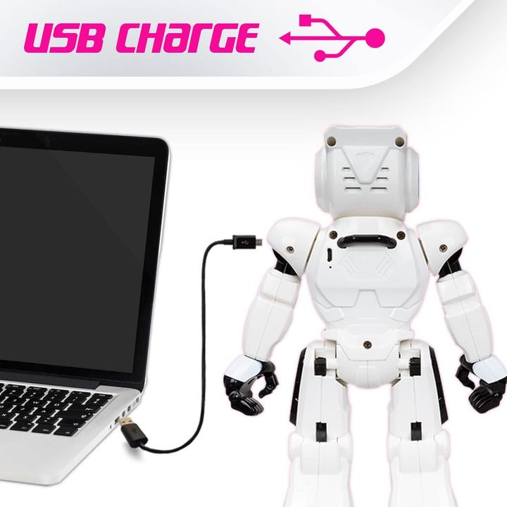 Actual product image Xtrem Bots Sophie